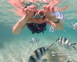 Underwater Odyssey snorkeling excursion Pattaya Thailand photo 19430