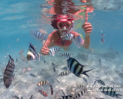 Underwater Odyssey snorkeling excursion in Pattaya Thailand photo 523