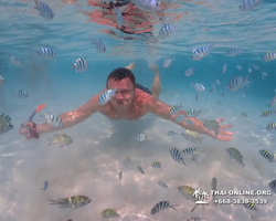 Underwater Odyssey snorkeling excursion in Pattaya Thailand photo 1021