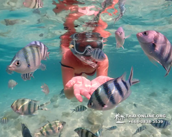 Underwater Odyssey snorkeling tour from Pattaya Thailand photo 14284