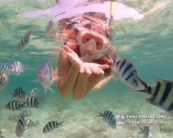 Underwater Odyssey snorkeling tour from Pattaya Thailand photo 18321