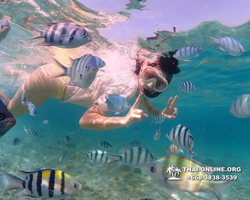 Underwater Odyssey snorkeling excursion Pattaya Thailand photo 11256