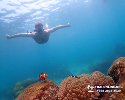 Underwater Odyssey snorkeling excursion in Pattaya Thailand photo 1019