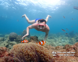 Underwater Odyssey snorkeling excursion Pattaya Thailand photo 11418