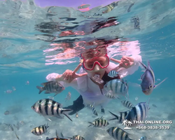 Underwater Odyssey snorkeling excursion in Pattaya Thailand photo 443