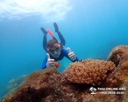 Underwater Odyssey snorkeling excursion in Pattaya Thailand photo 954