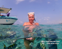 Underwater Odyssey snorkeling excursion Pattaya Thailand photo 11315