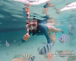 Underwater Odyssey snorkeling excursion in Pattaya Thailand photo 219