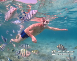 Underwater Odyssey snorkeling excursion Pattaya Thailand photo 11296