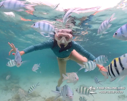 Underwater Odyssey snorkeling excursion in Pattaya Thailand photo 154