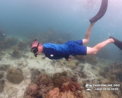 Underwater Odyssey snorkeling excursion in Pattaya Thailand photo 251