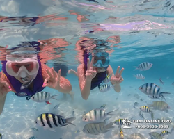 Underwater Odyssey snorkeling excursion in Pattaya Thailand photo 695