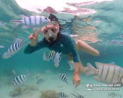 Underwater Odyssey snorkeling excursion in Pattaya Thailand photo 136