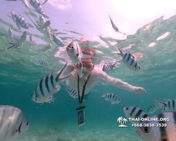 Underwater Odyssey snorkeling tour from Pattaya Thailand photo 18682