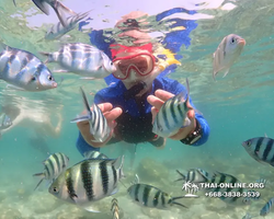 Underwater Odyssey snorkeling excursion Pattaya Thailand photo 14870