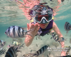 Underwater Odyssey snorkeling excursion Pattaya Thailand photo 19092