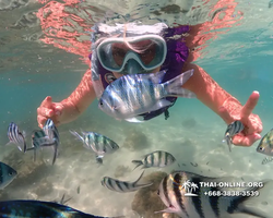 Underwater Odyssey snorkeling excursion Pattaya Thailand photo 19062