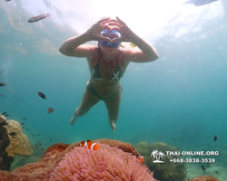 Underwater Odyssey snorkeling tour from Pattaya Thailand photo 18764