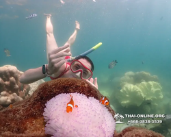 Underwater Odyssey snorkeling excursion Pattaya Thailand photo 19482