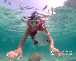 Underwater Odyssey snorkeling tour from Pattaya Thailand photo 18344