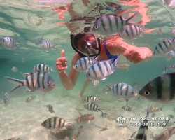 Underwater Odyssey snorkeling tour from Pattaya Thailand photo 18336