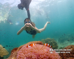 Underwater Odyssey snorkeling tour from Pattaya Thailand photo 18326