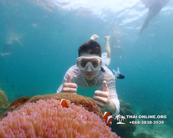 Underwater Odyssey snorkeling tour from Pattaya Thailand photo 18556