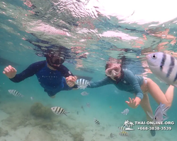 Underwater Odyssey snorkeling excursion in Pattaya Thailand photo 33