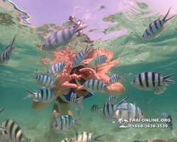 Underwater Odyssey snorkeling tour from Pattaya Thailand photo 18372