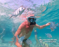 Underwater Odyssey snorkeling excursion Pattaya Thailand photo 11079