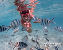 Underwater Odyssey snorkeling excursion in Pattaya Thailand photo 496