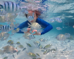 Underwater Odyssey snorkeling excursion in Pattaya Thailand photo 653