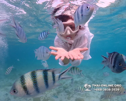 Underwater Odyssey snorkeling excursion Pattaya Thailand photo 11161