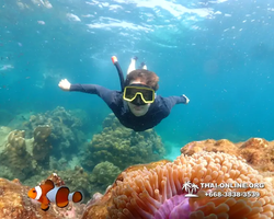 Underwater Odyssey snorkeling tour from Pattaya Thailand photo 14146