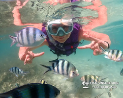 Underwater Odyssey snorkeling excursion Pattaya Thailand photo 19135