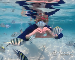 Underwater Odyssey snorkeling excursion in Pattaya Thailand photo 932