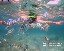 Underwater Odyssey snorkeling excursion Pattaya Thailand photo 11543