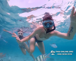 Underwater Odyssey snorkeling excursion Pattaya Thailand photo 11085