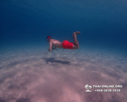 Underwater Odyssey snorkeling tour from Pattaya Thailand photo 10913