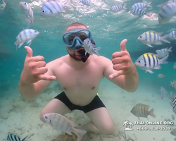 Underwater Odyssey snorkeling excursion in Pattaya Thailand photo 175