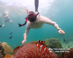 Underwater Odyssey snorkeling tour from Pattaya Thailand photo 18596