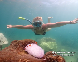 Underwater Odyssey snorkeling excursion Pattaya Thailand photo 19522