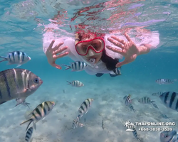 Underwater Odyssey snorkeling excursion in Pattaya Thailand photo 428