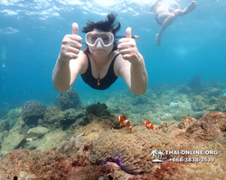 Underwater Odyssey snorkeling excursion Pattaya Thailand photo 11451