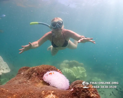 Underwater Odyssey snorkeling excursion Pattaya Thailand photo 19450