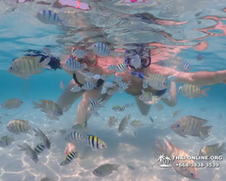 Underwater Odyssey snorkeling excursion in Pattaya Thailand photo 838