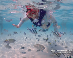 Underwater Odyssey snorkeling excursion in Pattaya Thailand photo 835