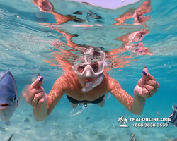 Underwater Odyssey snorkeling excursion Pattaya Thailand photo 10982