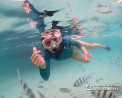 Underwater Odyssey snorkeling excursion in Pattaya Thailand photo 233