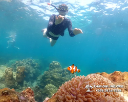 Underwater Odyssey snorkeling tour from Pattaya Thailand photo 14341